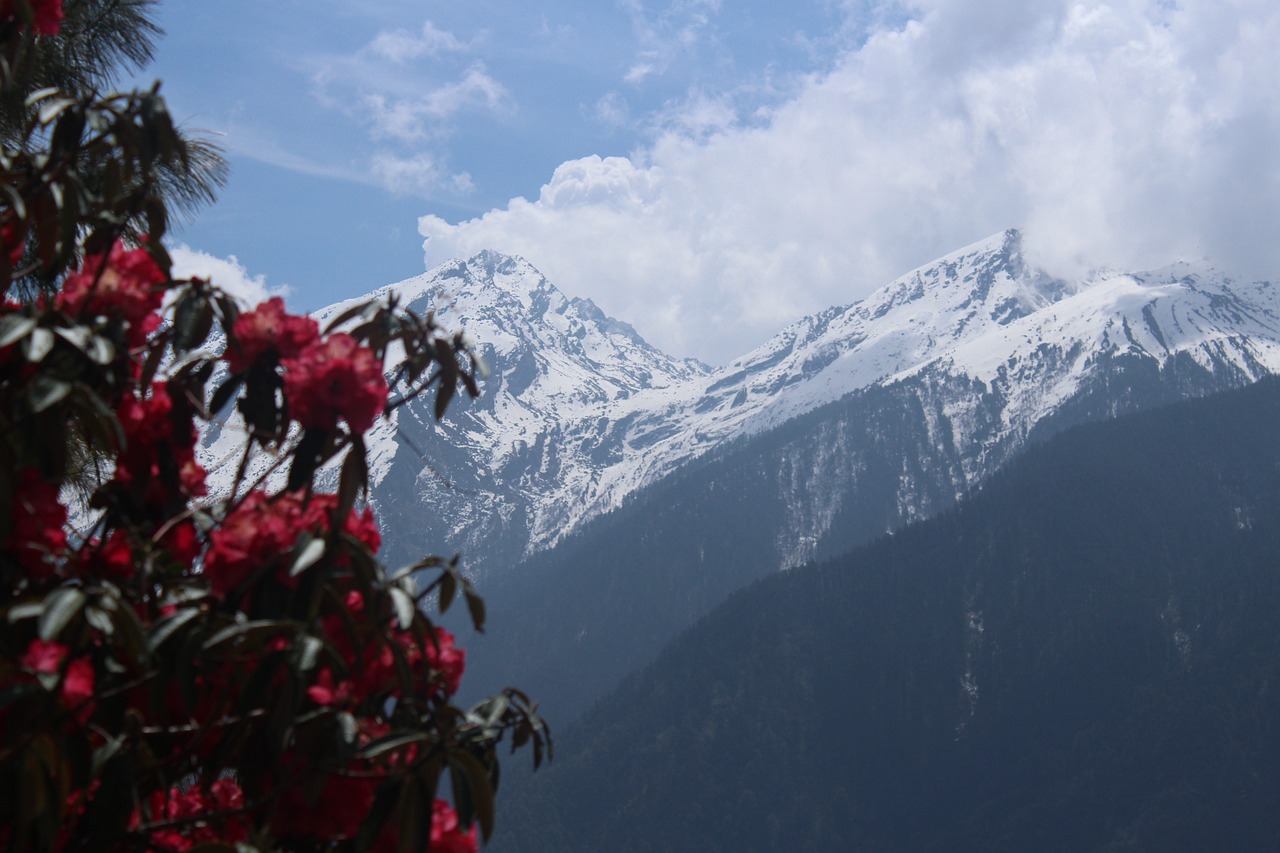 nepal, trekking, nepal trekking, trek, trekker, snow, nature, adventure, moun, mountain, hiker, hiking, travel, altitude, nepal trekking, moun, moun, moun, moun, moun, hiker